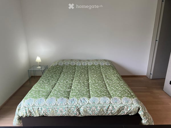 Ampio monolocale a Lugano 3