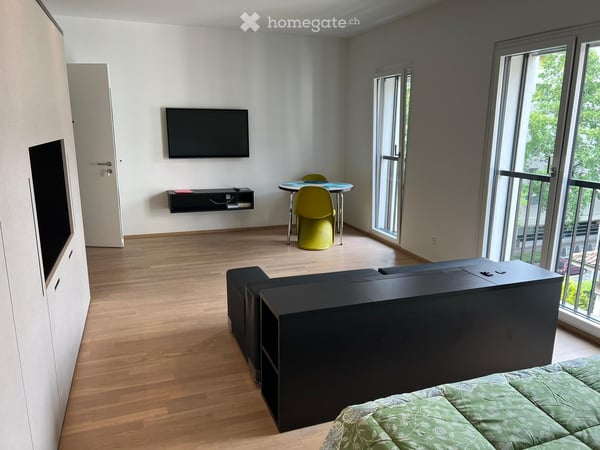 Ampio monolocale a Lugano 1