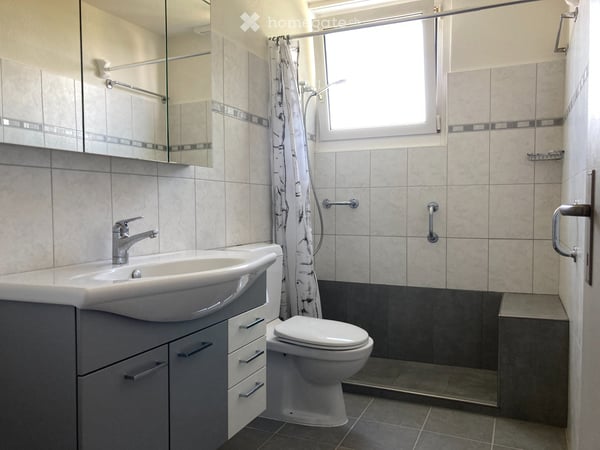 5,5-Zimmer-Haus mit Umschwung 4
