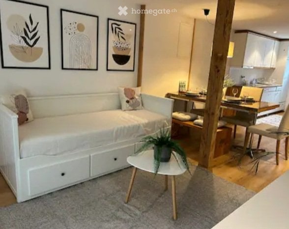 Möblierte Wohnung mit Terrasse, befristet zu vermieten 4
