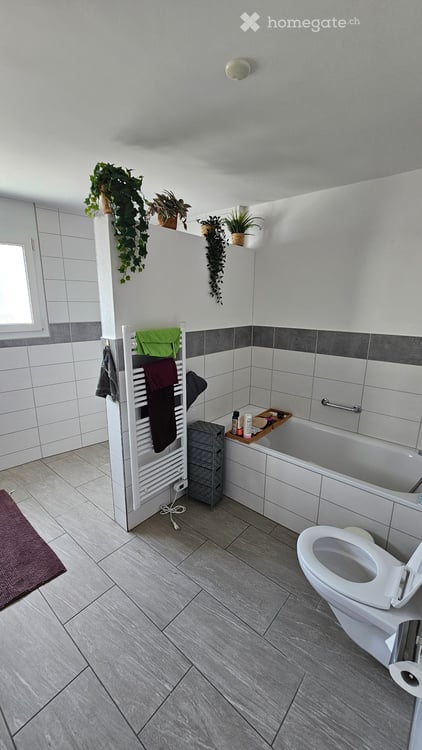 5.5-Zimmer-EFH per 1. Oktober 2026 4