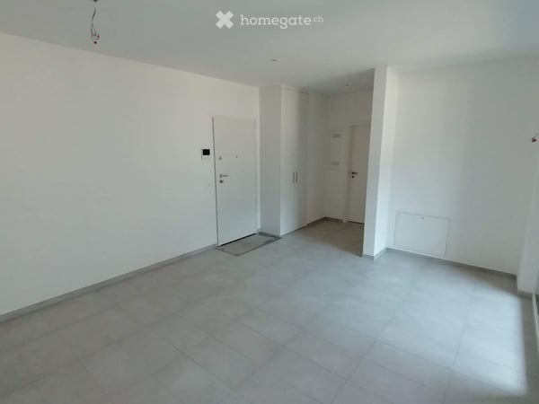 Appartamento 2.5 locali moderno con terrazza abitabile 3