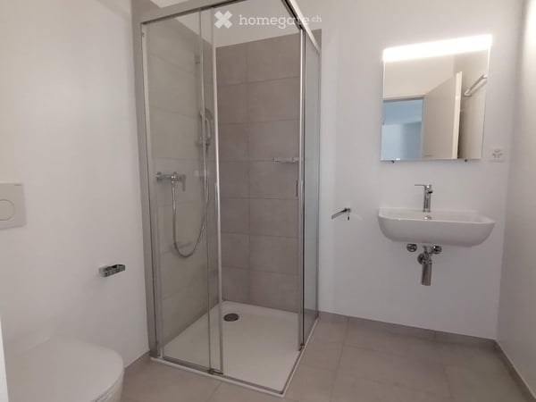 Appartamento 2.5 locali moderno con terrazza abitabile 4