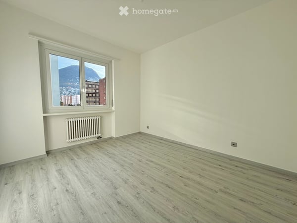 FINO A 3 MESI GRATUITI - 5.5 LOCALI RISTRUTTURATO A LUGANO 4