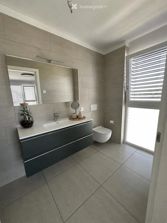 Cercasi subentrante  Splendido 6.5 moderno a Mendrisio 11