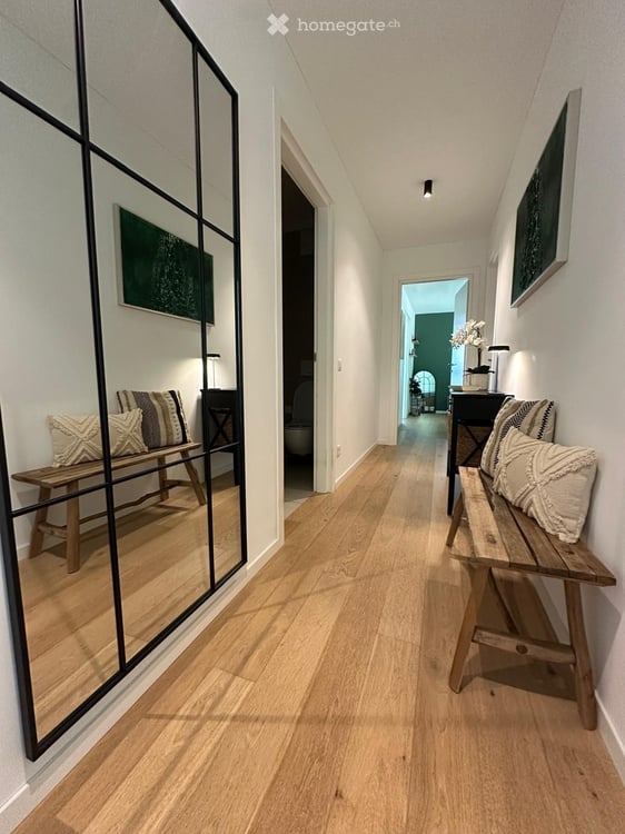 Cercasi subentrante  Splendido 6.5 moderno a Mendrisio 1
