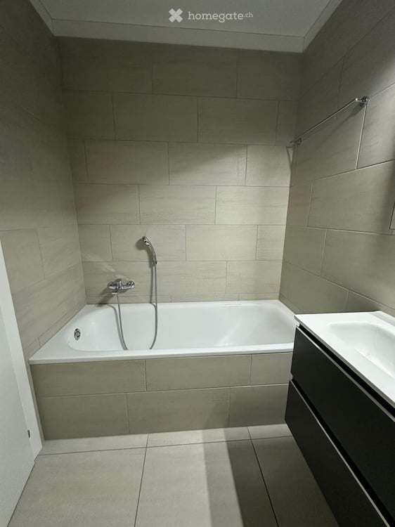 Cercasi subentrante  Splendido 6.5 moderno a Mendrisio 9