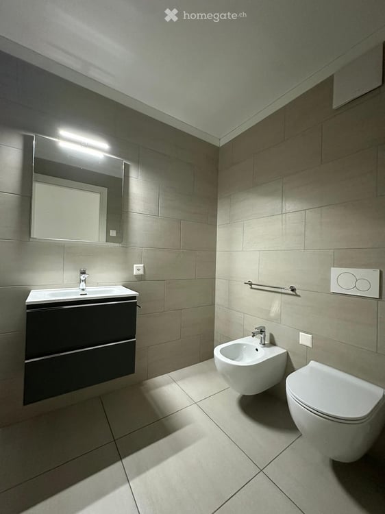 Cercasi subentrante  Splendido 6.5 moderno a Mendrisio 8
