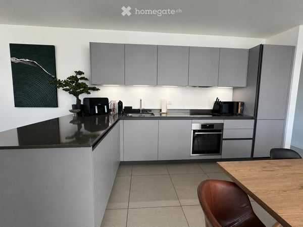 Cercasi subentrante  Splendido 6.5 moderno a Mendrisio 6