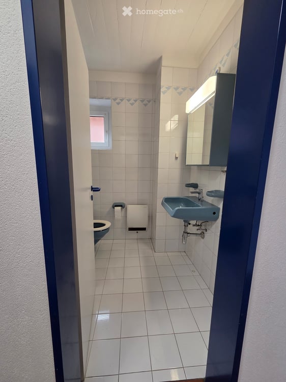 Splendido duplex in affitto - primo mese gratuito 3