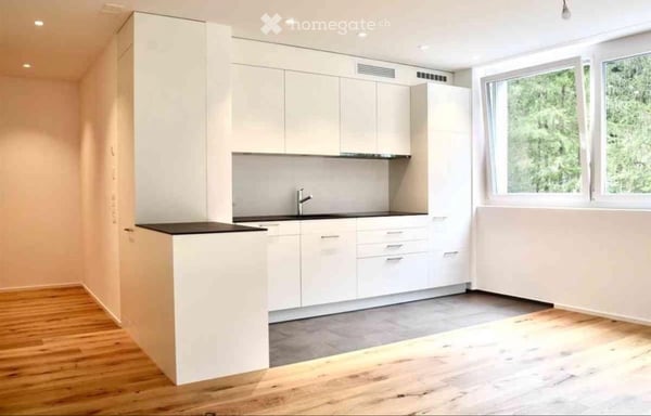 1.5 Zimmerwohnung zu vermieten 2