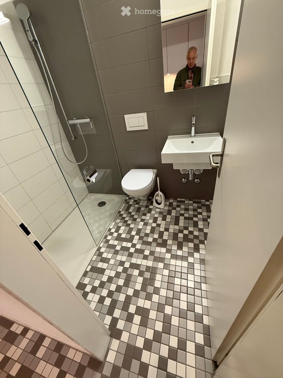 Grosses 1-Zi Apartment in Ascona 3
