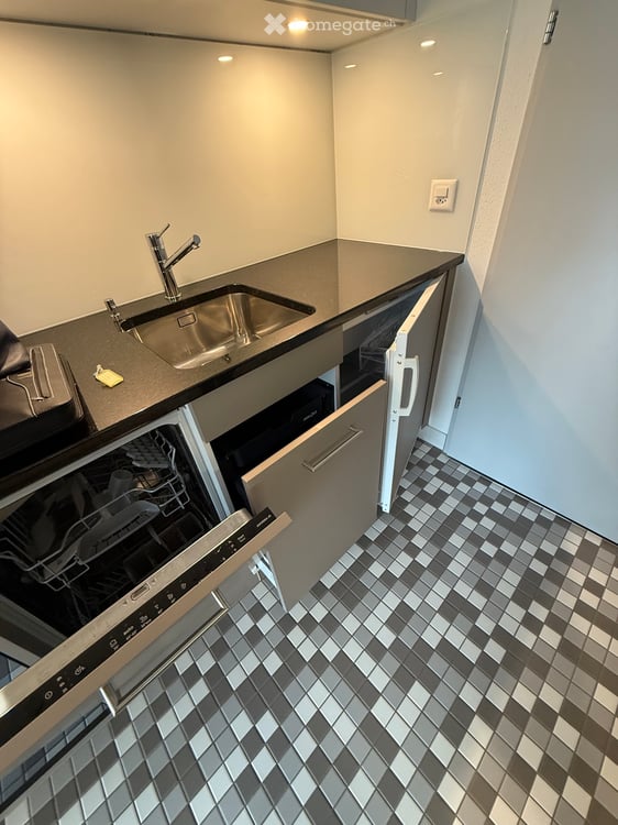 Grosses 1-Zi Apartment in Ascona 4