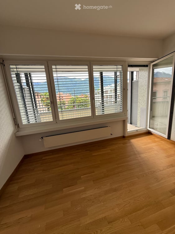 Grosses 1-Zi Apartment in Ascona 1