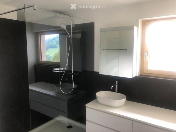 Wunderschöne 1-Zi-Wohnung mit Traumaussicht in Seewis-Dorf 3