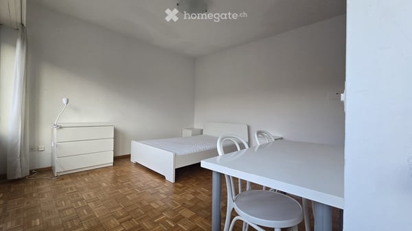 Affitto Monolocale Arredato Lugano 1