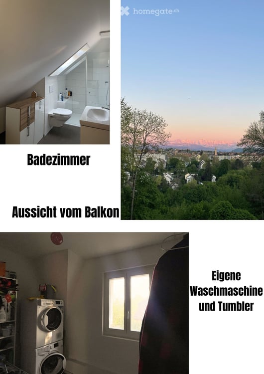WG-Zimmer in renovierter Altbauwohnung mit Begpanorama 3