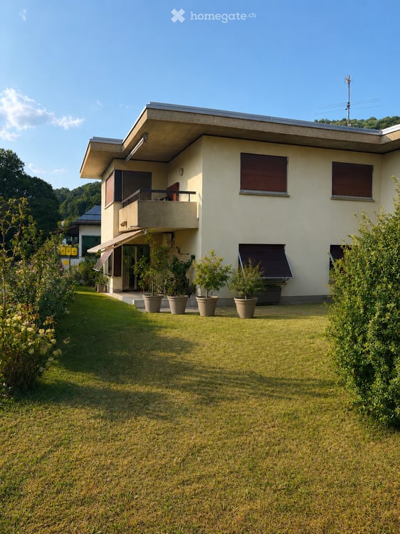 Grazioso appartamento 1