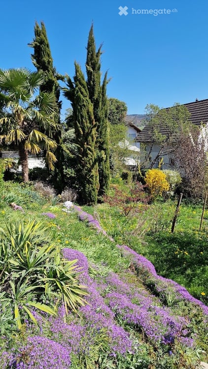 EFH Traumhaus mit Mediterraner Umgebung und Weitblick 4