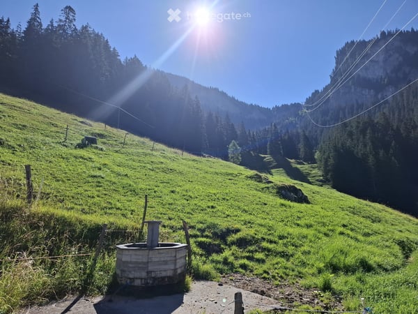 Weidhüttli zum vermieten 4
