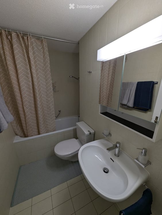 Möblierte/komplett ausgestattete 2.5-Zimmer Wohnung in Visp 1