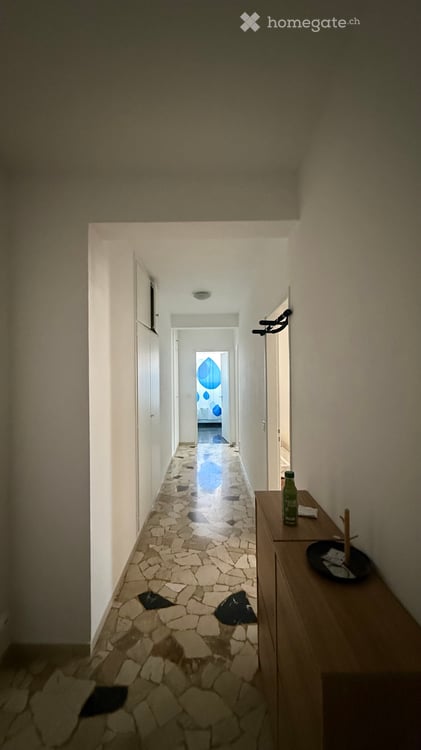Cerco subentrante 2.5 Lugano Molino Nuovo 2