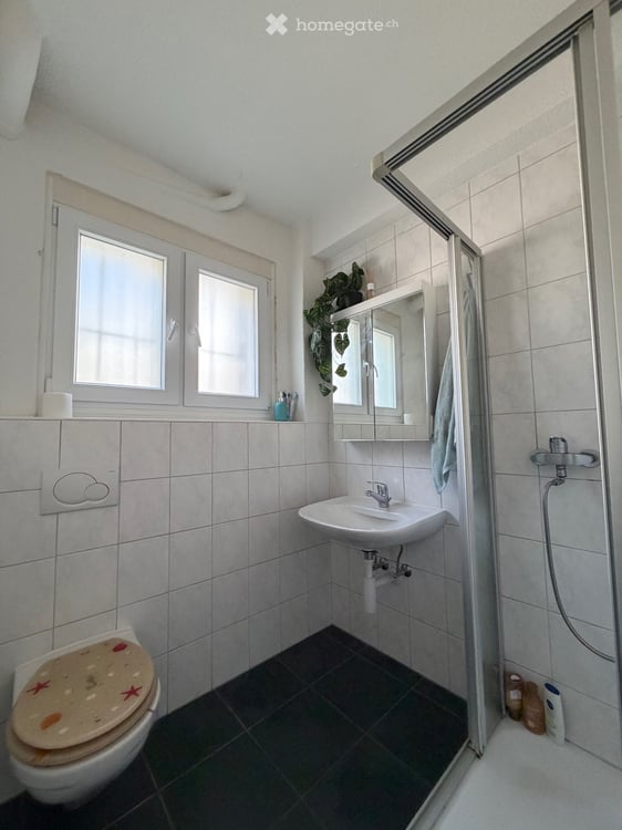 Apt to rent in Visp 3