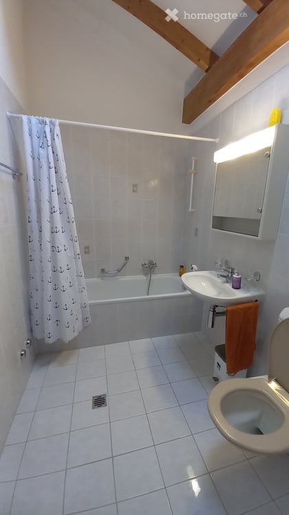 Affittasi appartamento ammobiliato ad Ascona 4