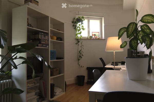 Befristet: Möblierte 4-Zimmer-Altbauwohnung in St Gallen 2