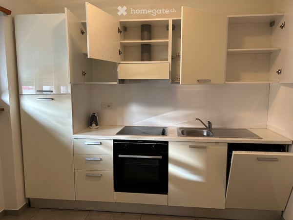 Affitto 31/2 all inclusive da gennaio 2027 1