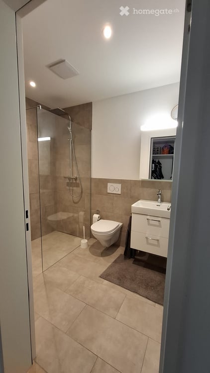 3.5 Zimmer Wohnung / Zweitbezug 3