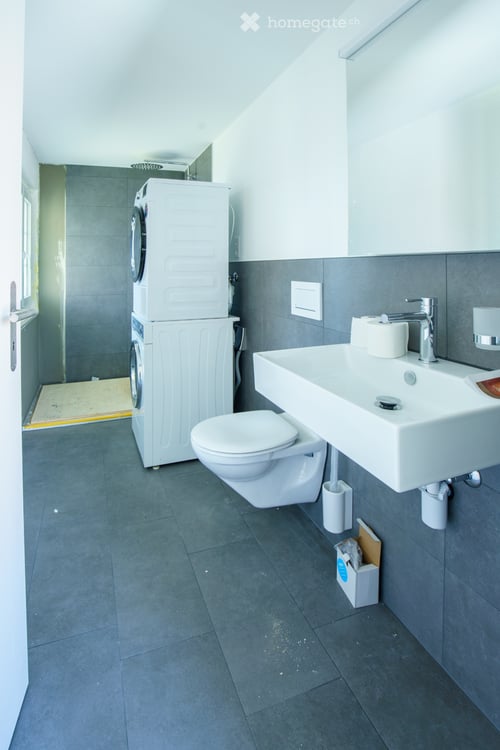 Schöne helle Dachwohnung zu vermieten 4
