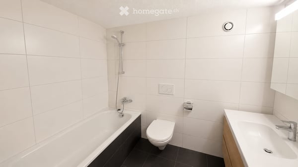 Wohnung in grüningen ab November 4