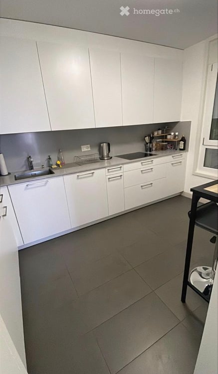 Appartamento a Pregassona 4