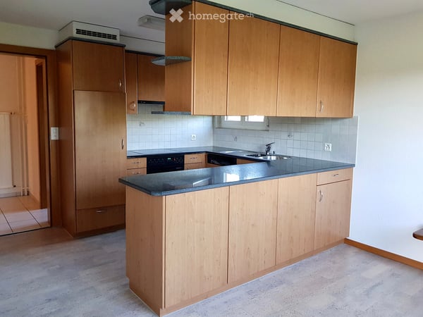 Helle 4 ½ Zimmer Wohnung im Grünen 3