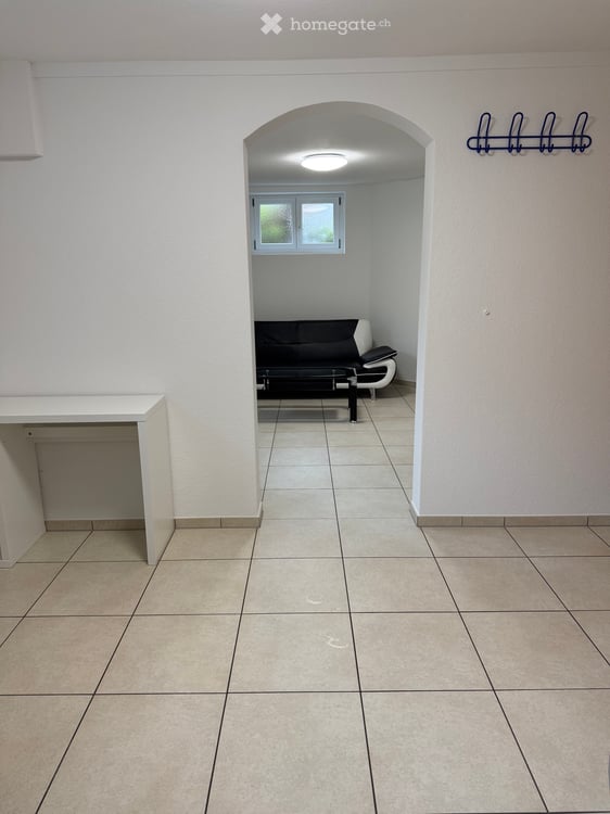1.5-Zimmer-Tiefparterrewohnung in Luzern 5