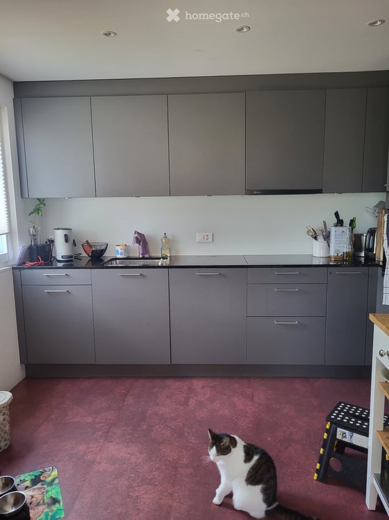 Zimmer für Wochenaufenthalterin (nur Frau) in Thun 2