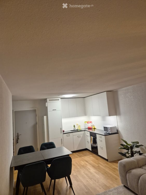 Länggasse: Nachmieter/in gesucht per 1. Sept. 4