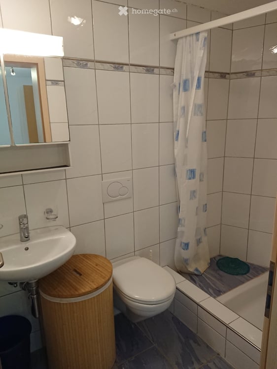 Studio Wohnung 1.5 Zimmer 30m2 Eschenbach Inwil Emmen Appart 3