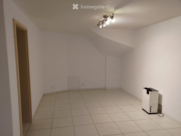 Studio Wohnung 1.5 Zimmer 30m2 Eschenbach Inwil Emmen Appart 5