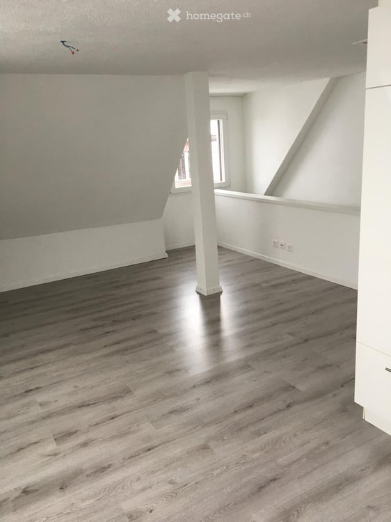 Attraktive 2.5 Zimer Dachwohnung 4