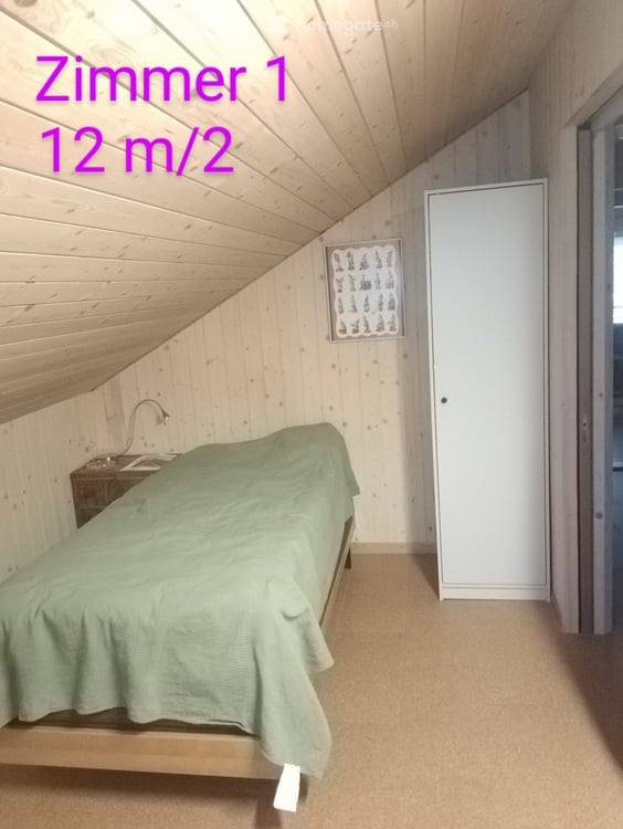 Männer WG in der Natur 1