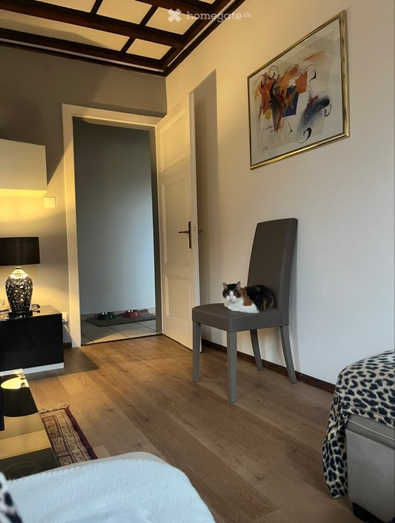 Casa unifamiliare con splendido giardino a 2 passi dal lago 3