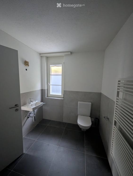 Modernes Studio mit Hobby- und Waschraum in Hochdorf 3