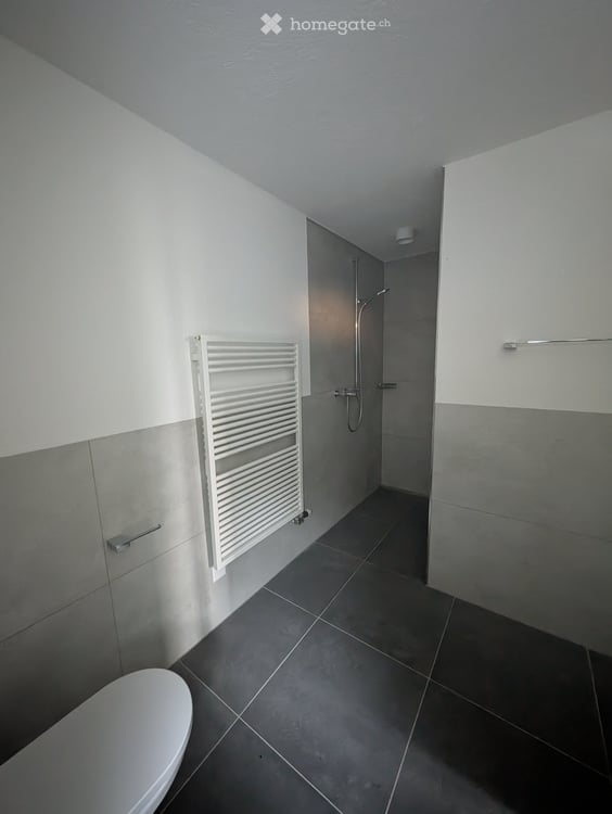 Modernes Studio mit Hobby- und Waschraum in Hochdorf 2