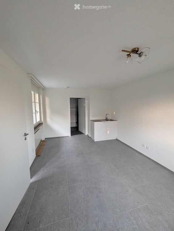 Modernes Studio mit Hobby- und Waschraum in Hochdorf 1