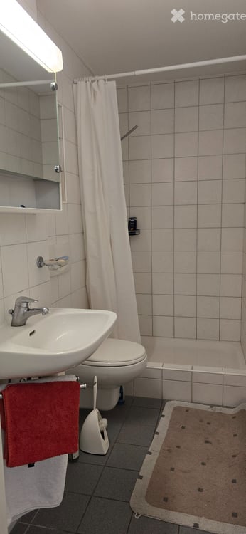 Möblierte wohnung 4