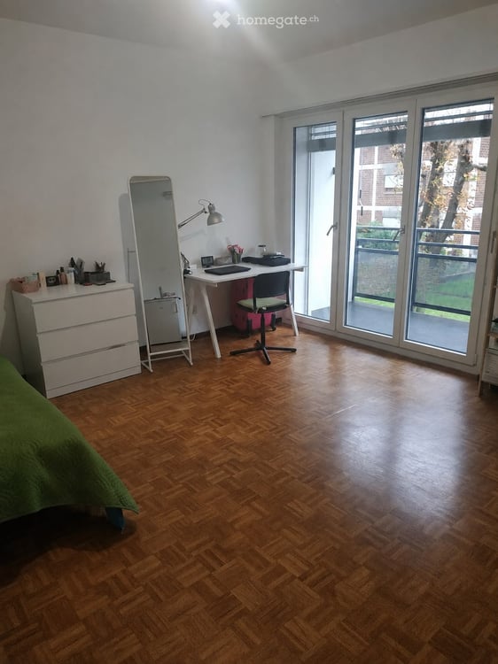 Furnished Studio Apartment near USI/SUPSI 1