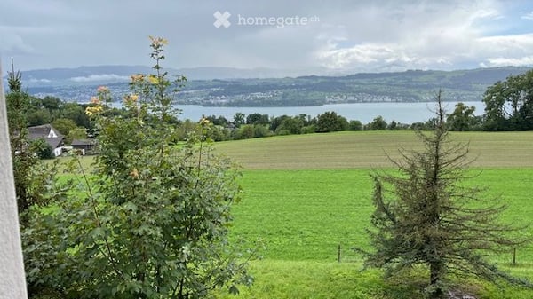 altes Bauernhaus auf Zeit zu vermieten, schöne Aussichtslage 5