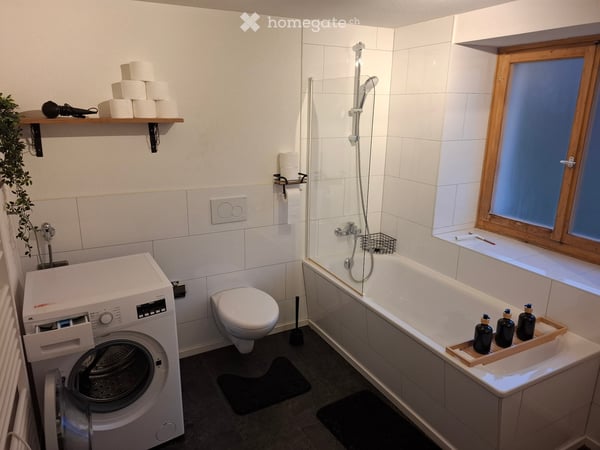 Helle möbelierte 3,5 Zimmer Wohnung befristet zu vermieten 5